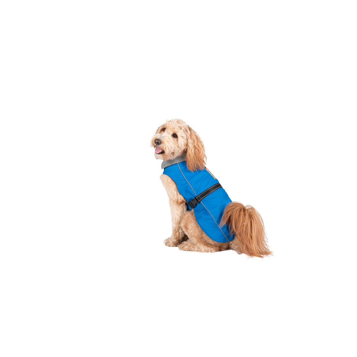 Dog raincoat Dog Gone Smart Blue 35 cm