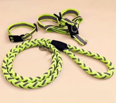 Ultimate Comfort Dog Leash