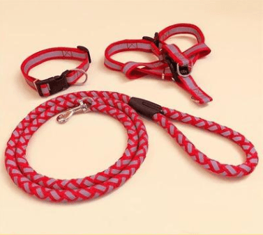 Ultimate Comfort Dog Leash