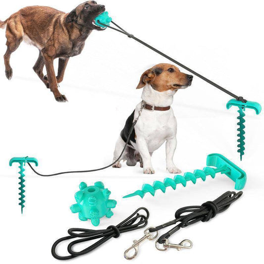 Outdoor Adventure Dog Leash Toy