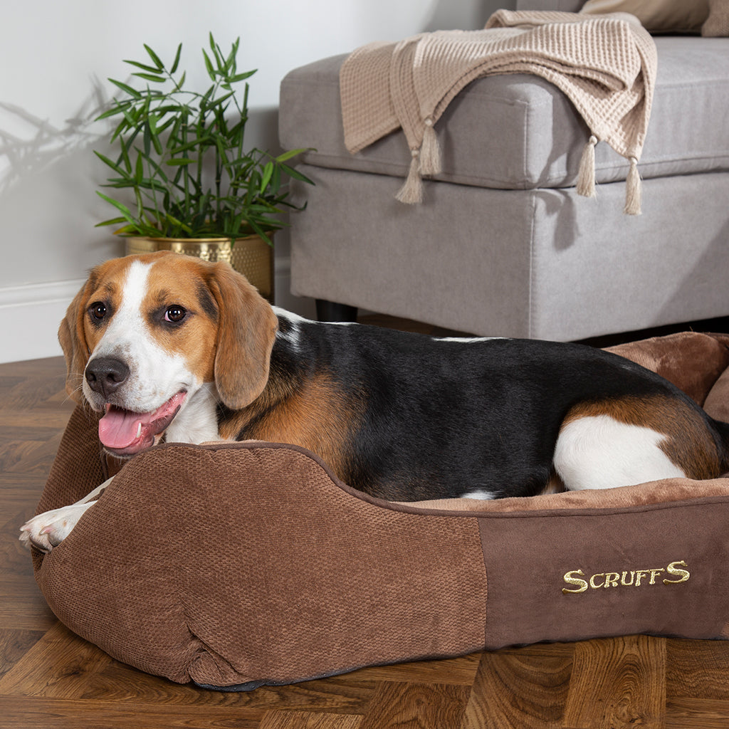 Chester Box Dog Bed (in Chocolate Brown, Dark Grey or Graphite Grey) by Scruffs