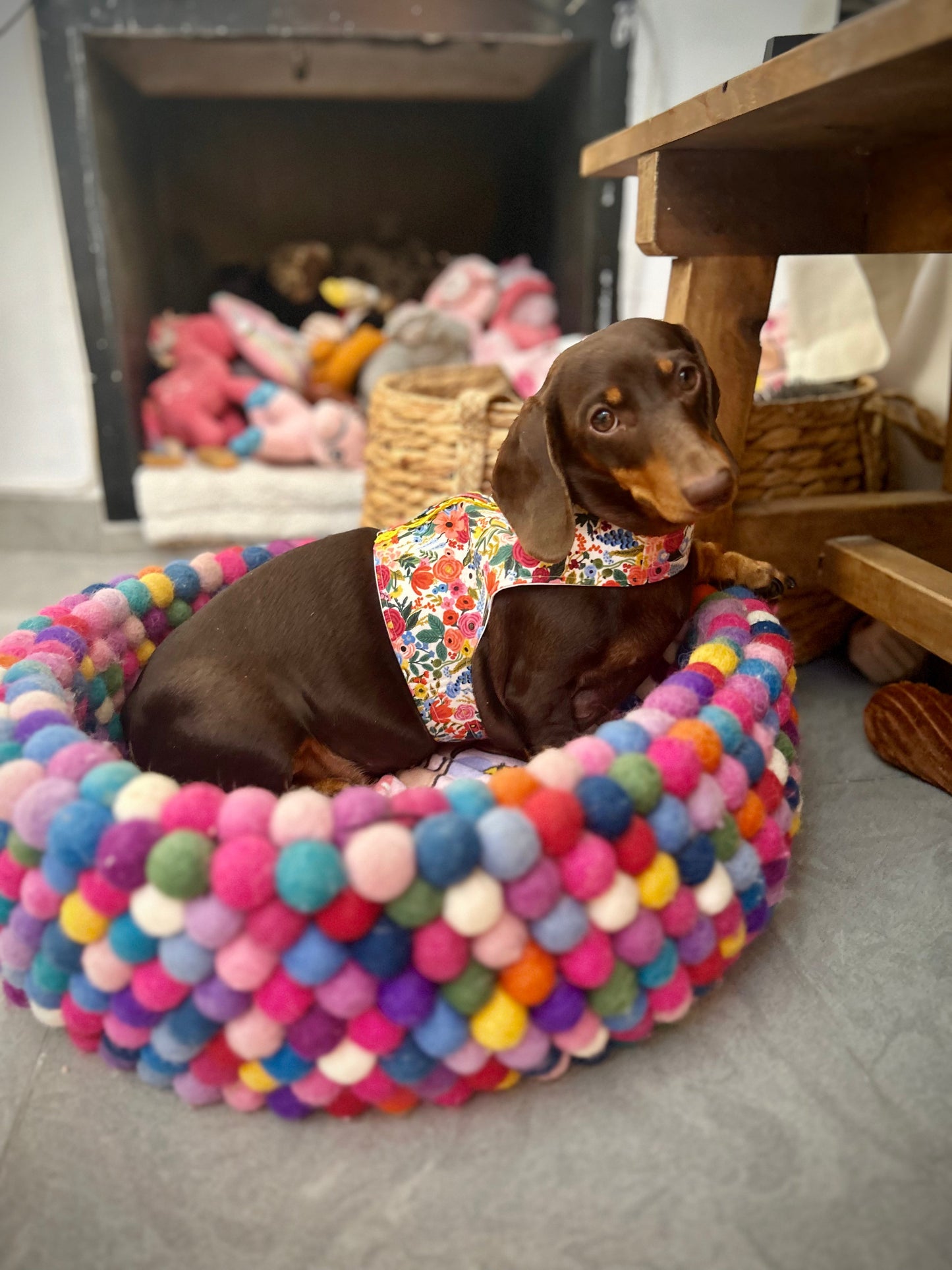 Handmade Vest Dog Harness - Garden Party