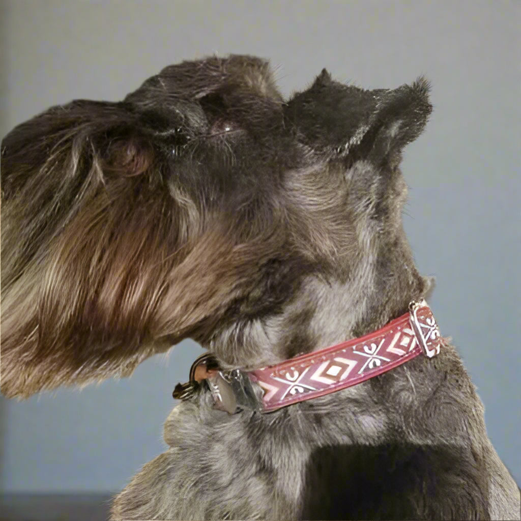Engraved Charm Cotton Dog Collar by No.29s
