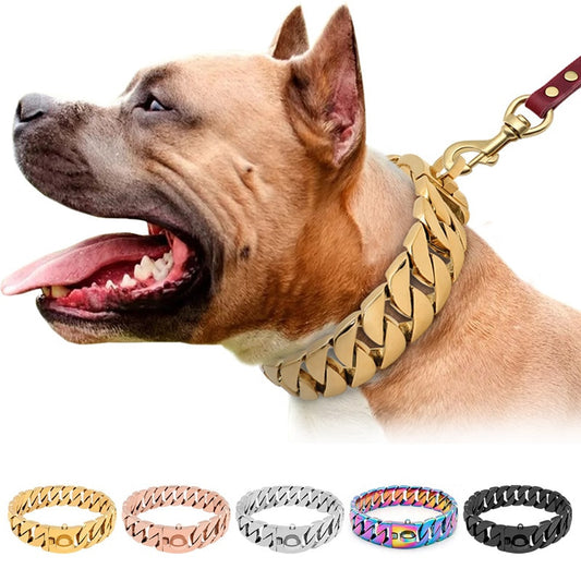 Cuban Chain Dogs Collar