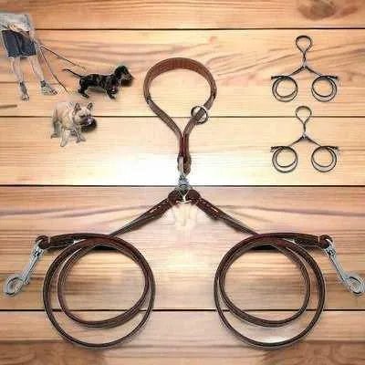 Golden Double Leather Pet Leads - Set of 2